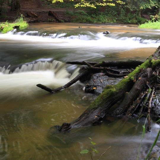 Ukryty skarb Roztocza: Rezerwat Szumy nad Tanwią