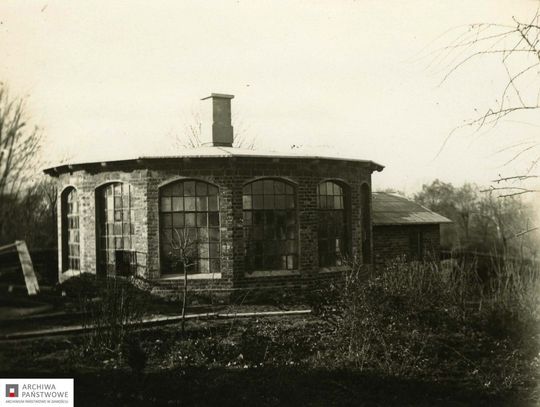 Cieplarnia w parku, Zamość, 1938 r., autor Tadeusz Zaremba