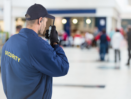 24h w “akwarium” - a jaka była Twoja pierwsza praca?