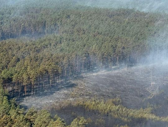 Od wtorku 5 maja płonie Puszcza Solska. Trwa drugi dzień akcji gaszenia ognia, w której udział biorą strażacy z kilku województw, a także policja.