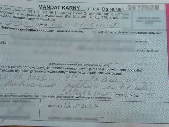 5000 zł grzywny, 15 pkt. karnych i utrata "prawka". Drogowa recydywa nie popłaca