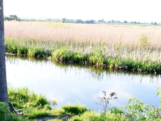 Tragedia w jednej z miejscowości gminy Sułów. W rzece Por utonął 69-latek.