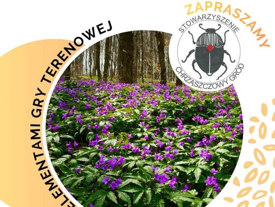 7 km przez wiosenne Roztocze i ognisko na koniec. Rusza Rajd Chrząszczowy