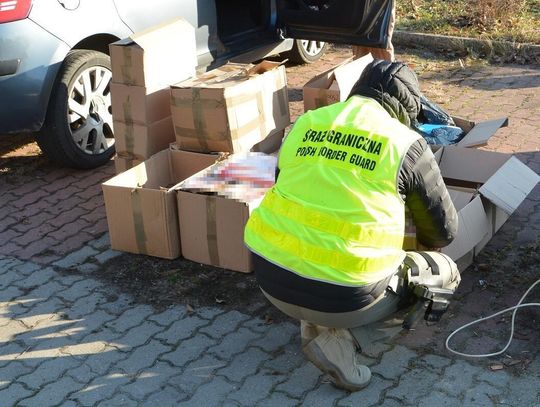 W sprawie zatrzymano i przedstawiono zarzuty 9 osobom.