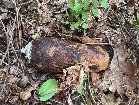 Aleksandrów: Wybuchowe znalezisko w lesie