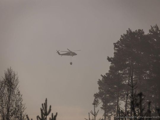 Rządowe Centrum Bezpieczeństwa wydało pilny alert dla mieszkańców powiatu biłgorajskiego w województwie lubelskim. Ostrzeżenie wystosowano w związku z pożarem Puszczy Solskiej.