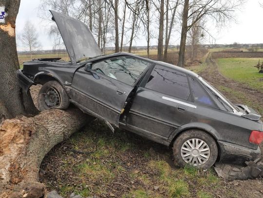 Audi na drzewie w Wólce Horyszowskiej. 36-latek zasłabł?