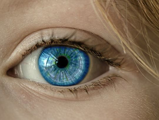 Badania wzroku w Kryłowie i Mirczu