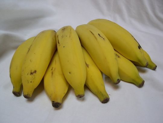 Banany w plastrach boczku, przepis Radosława Surmacza z Józefowa