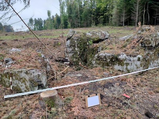 Na trasie budowy drogi ekspresowej S17 Piaski – Hrebenne, odc. Nr 9 – Tomaszów Lubelski (koniec obwodnicy) – Hrebenne (początek obwodnicy), zlokalizowano rozbity bunkier o żelbetowej konstrukcji, który wcześniej był ukryty wśród gęstych zarośli i podszytu leśnego.