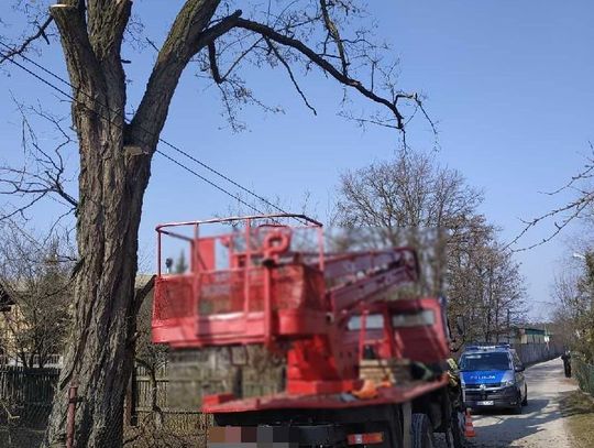 Bełżec: Wypadek przy przycinaniu drzew. 51-latek w szpitalu