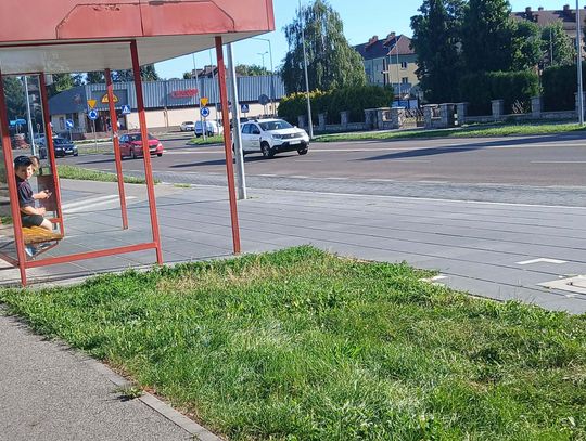 „Betonoza” po zamojsku. Bitwa o każdy metr cienia