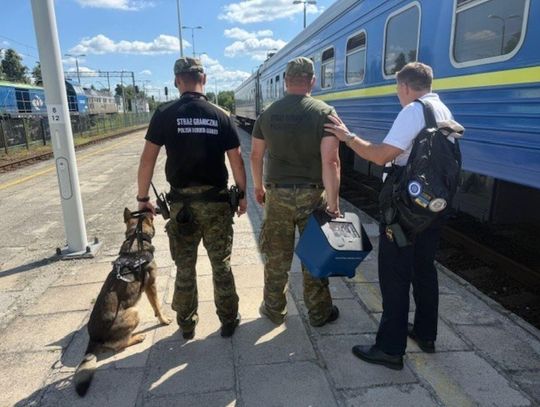 Bezpieczniejsza kolej. W Zamościu podsumowano testy detektorów materiałów wybuchowych