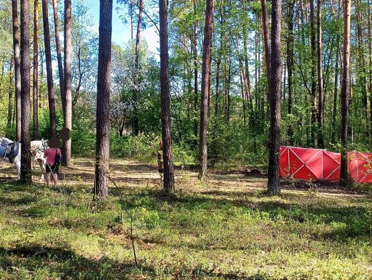 Biłgoraj: 14-latka zginęła w lesie. Śledztwo umorzone Biłgoraj: 14-latka zginęła w lesie. Śledztwo umorzone