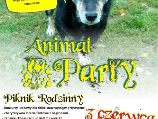 Biłgoraj: Animal Party przy BCK