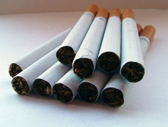 Biłgoraj: Magazyn z nielegalnymi papierosami u 53-latki