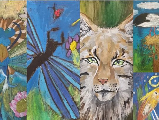 Biłgoraj: Młodzi i zdolni plastycy