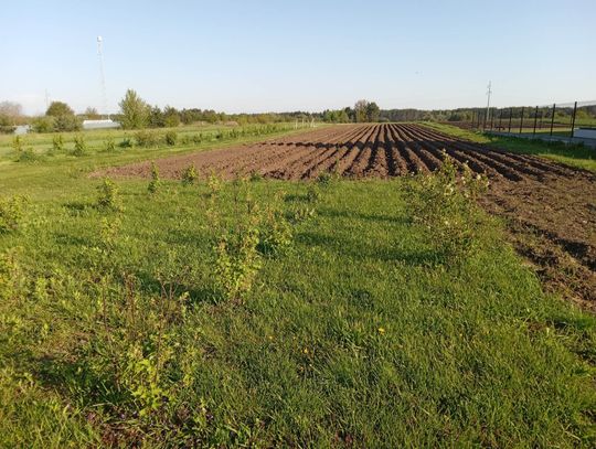 Drożej za śmieci, wodę i ścieki. Z takimi podwyżkami muszą liczyć się mieszkańcy Biłgoraja.