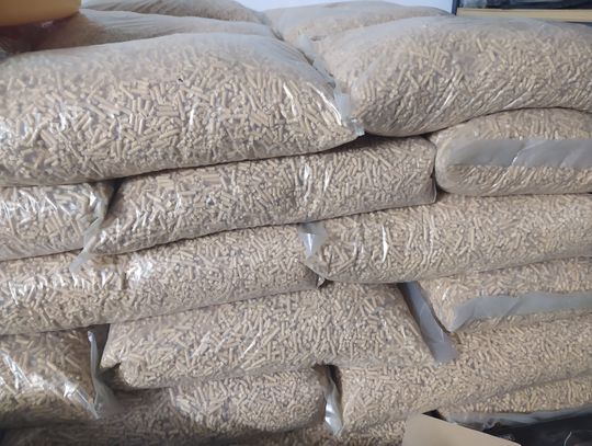 Biłgoraj: Smog zatruwa mieszkańców