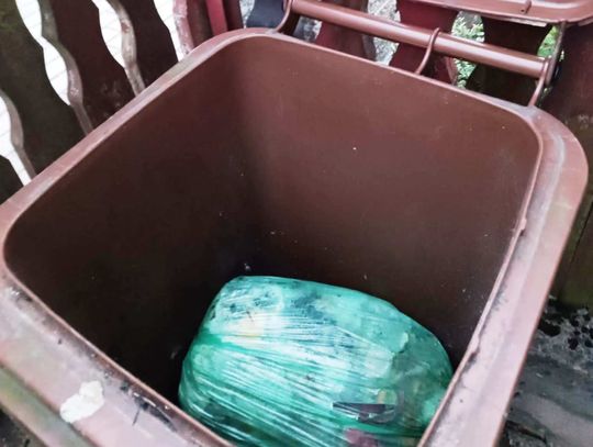 Biłgoraj: Mieszkańcy narzekają na smród i owady przy kubłach. Radni domagają się zmian