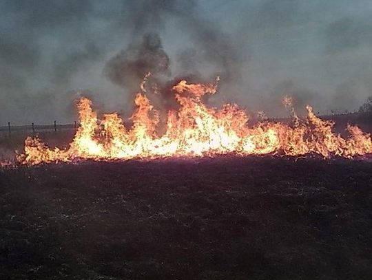 Biłgoraj: W pożarze traw zginął mężczyzna 