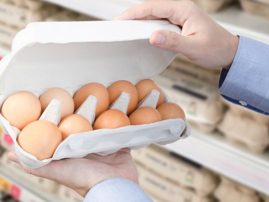 Brązowe jajka znikną ze sklepów? Niewykluczone, że tak się może stać