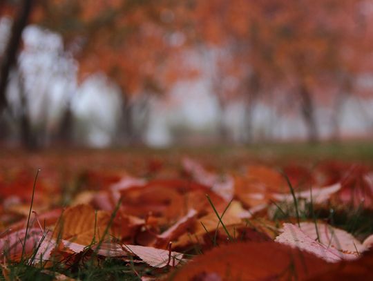 Centrum Geoturystyczne w Lipsku Polesiu zaprasza na Hubertusa