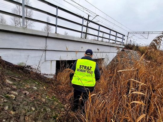 Opalali kable. Wpadli na gorącym uczynku w fotopułapkę! Funkcjonariusze SOK przybyli na miejsce, ujawniając dwa tlące się ogniska.