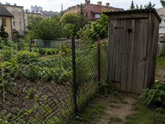 Lubelskie: Rodzina bez kanalizacji, sąsiadka z wychodkiem „pod nosem”. Miasto: Czekamy na sąd... Zdjęcie ilustracyjne