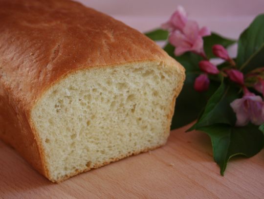Chleb tostowy, przepis Teresy Skotnickiej z Gozdowa