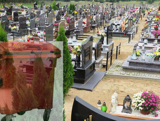 Teraz czerwone pojemniki pojawiają się na cmentarzach w całej Polsce.