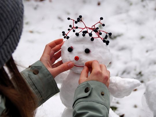 Prawdopodobieństwo pojawienia się pokrywy śnieżnej w trakcie świąt jest niewielkie. Nasz region opanuje suchy mróz.