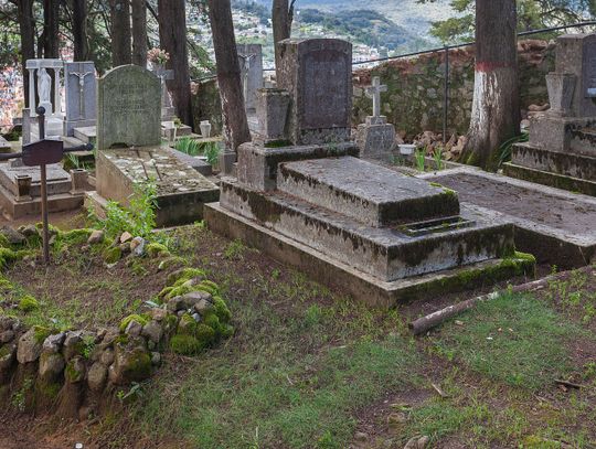 Czyj będzie nagrobek: rodziny czy zarządcy cmentarza?
