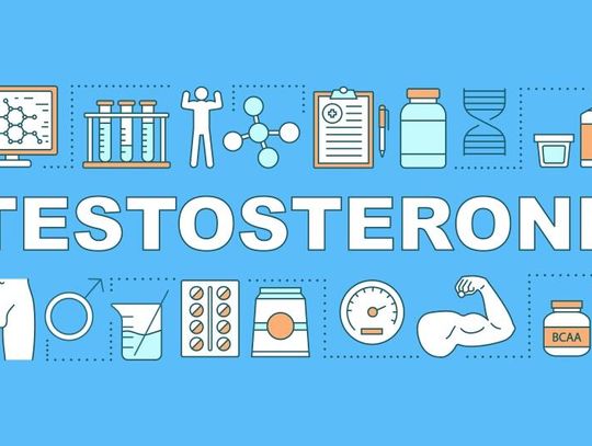 Czym jest testosteron? Dlaczego odpowiedni poziom testosteronu jest niezwykle ważny dla ludzkiego organizmu?