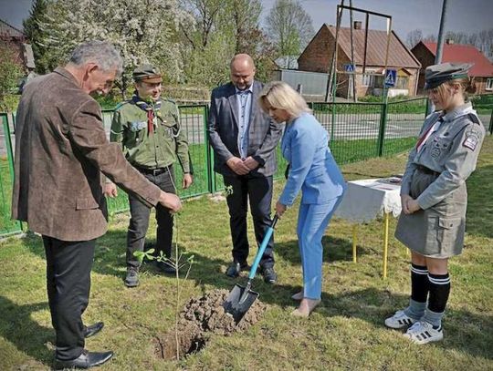 Dąb pamięci zamordowanego przez Sowietów Wacława Głowackiego z Uchań