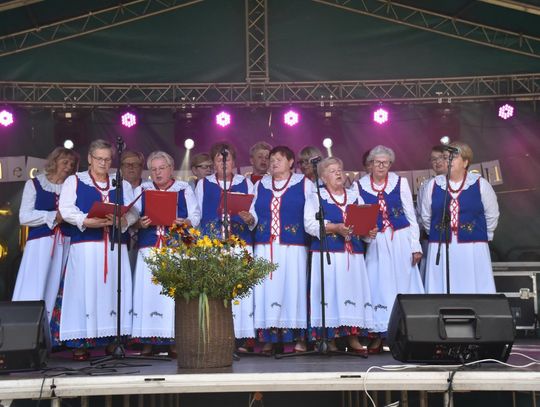 Dąbrowica: Piknik rodzinny z jubileuszem w tle [ZDJĘCIA]