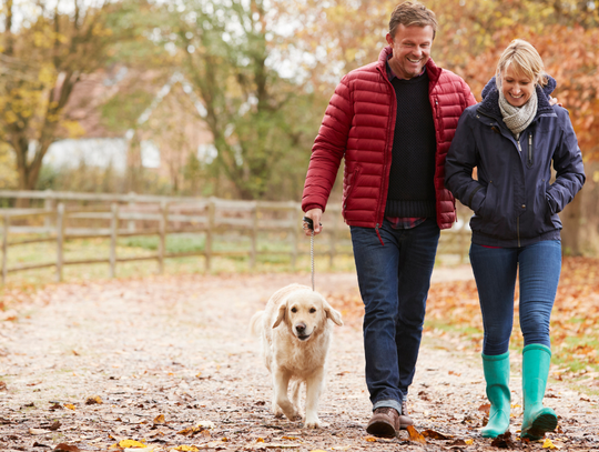 Niektórzy już mogą planować długi weekend na Święto Niepodległości.