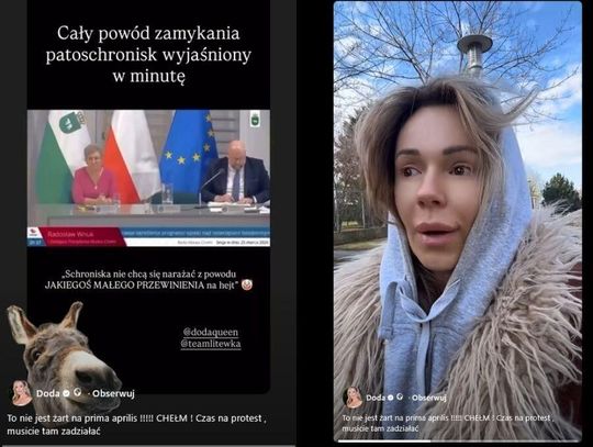 Wypowiedź wiceprezydenta Radosława Wnuka podczas ostatniej Sesji Rady Miasta Chełm, dotycząca sytuacji miejskiego schroniska dla zwierząt wywołała poruszenie nie tylko w Chełmie. Do sprawy odniosła się piosenkarka Dod