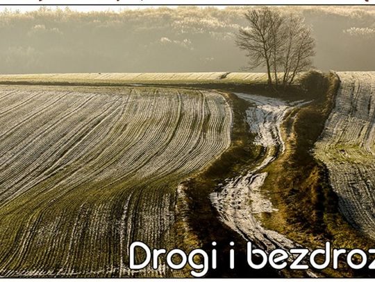 Drogi i bezdroża w Zamościu. Nowa wystawa Zamojskiej Grupy Fotograficznej – Grupy Twórczej