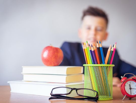 Edukacja domowa - jak stworzyć idealne środowisko do nauki w domu