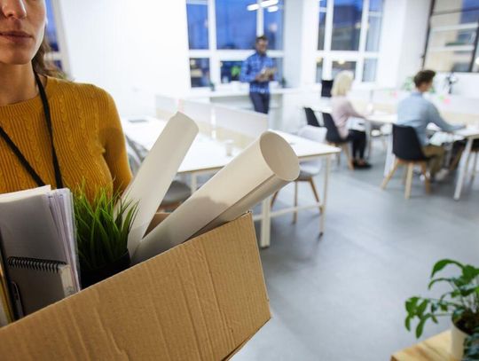 „W 2024 roku było najwięcej ogłoszonych i zrealizowanych zwolnień grupowych od wybuchu pandemii” – czytamy.