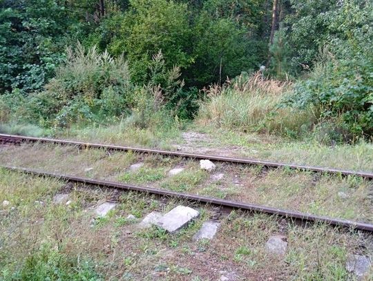 W Bełżcu przy torach są podłożone kamienie. To "dziki" przejazd drogowo-kolejowy.