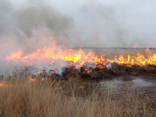 Gm. Biłgoraj: Potężny pożar w Kajetanówce. Paliły się budynki i suche trawy