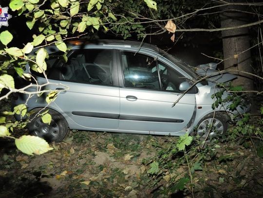 Gm. Grabowiec: Wyganiał osę z samochodu i wjechał renaultem do rowu