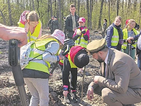 Gm. Hrubieszów: Posadzili 1,5 hektara dębowego lasu