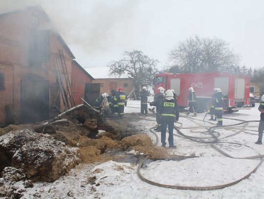 Gm. Hrubieszów: Pożar obory w Szpikołosach. Strażacy gasili ogień i ratowali zwierzęta
