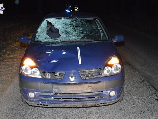 Gm. Miączyn: Wypadek w Świdnikach. Pieszy szedł bez odblasków. Potrącił go samochód (ZDJĘCIA)