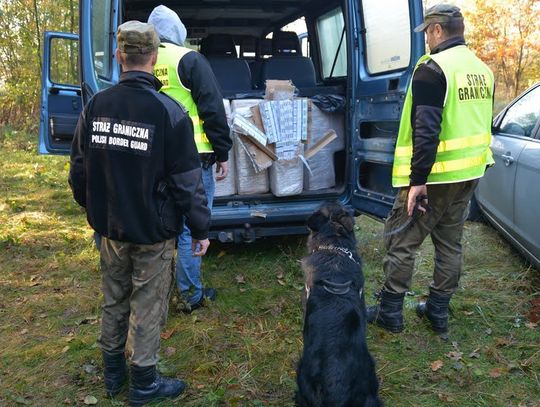 Gm. Mircze: Fajki przyleciały z Ukrainy