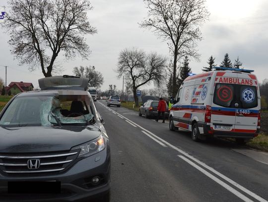 Gm. Mircze: Groźny wypadek w Wereszynie. Sarna przez szybę wpadła do samochodu wprost na kierowcę