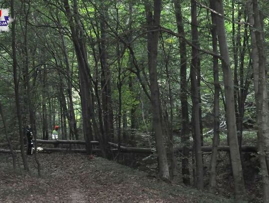 Gm. Skierbieszów: 47-latek ranny przy wycince drzewa